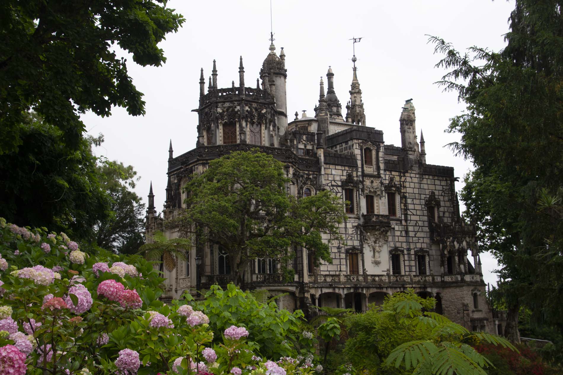 sintra_quinta_da_regeleira Quinta da regaleira tickets